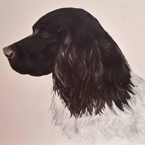Home dog euthanasia - Linton