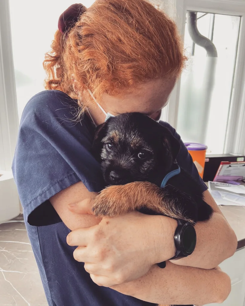 pet euthanasia service