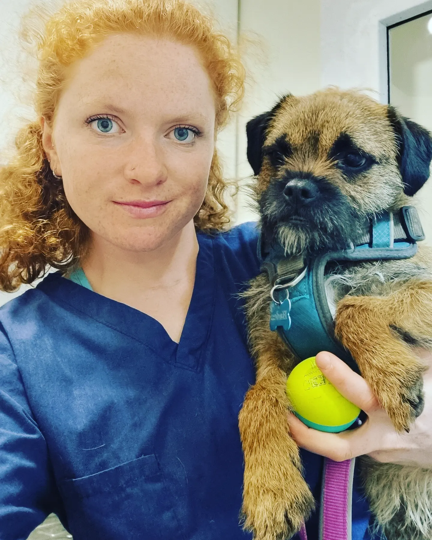 pet euthanasia service